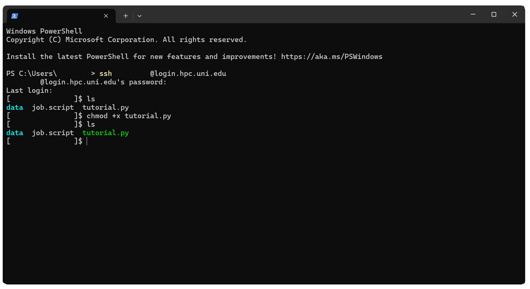 Terminal with modified program file