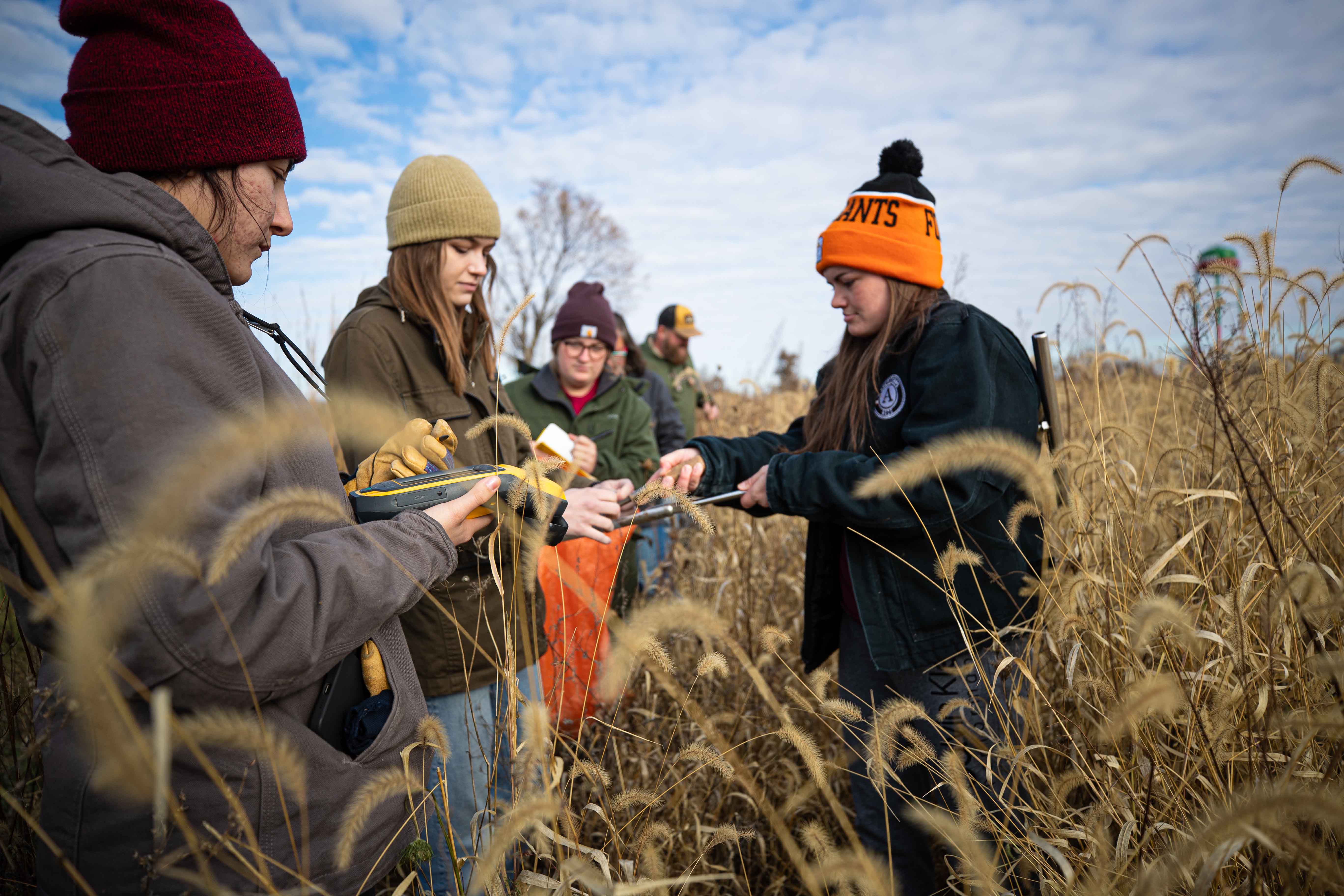 Students in a field doing research