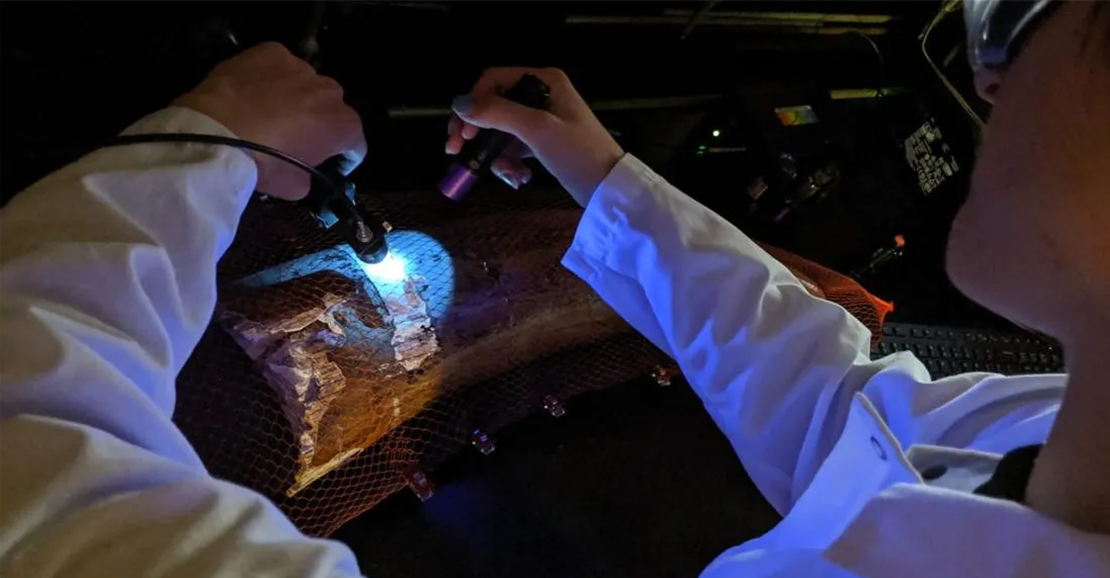 A person in a lab coat uses a handheld UV light to examine an object inside a netted enclosure in a dark laboratory setting.