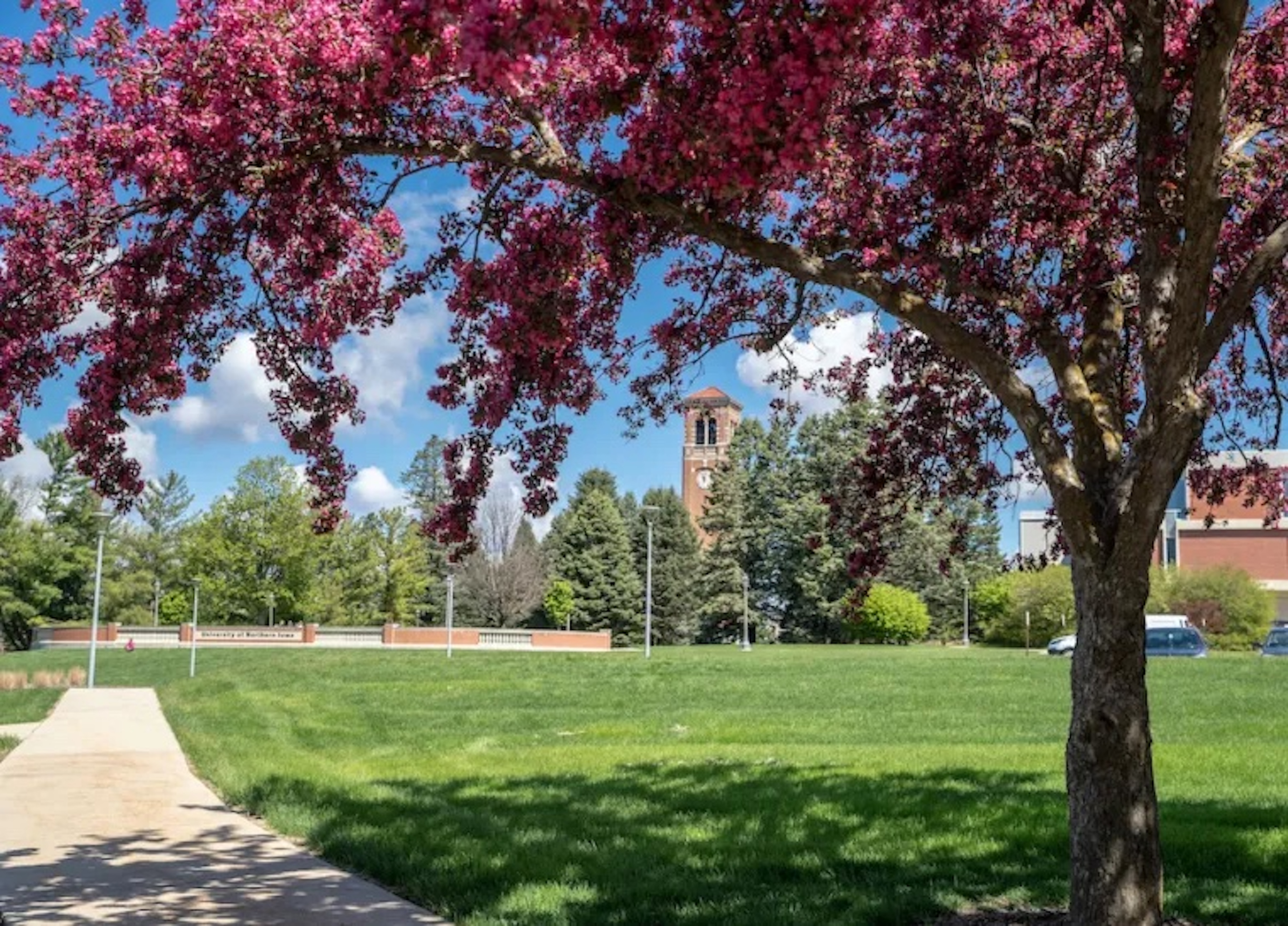 Campus in the Spring