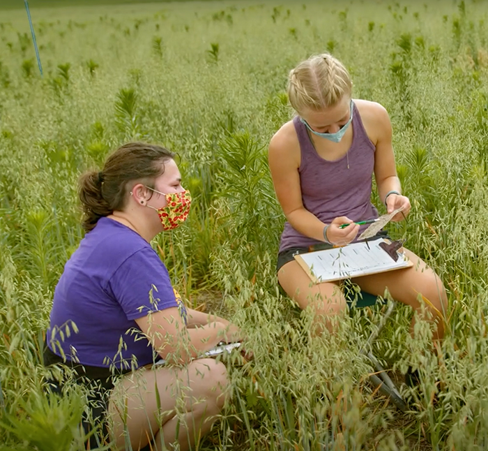 Two students in a field.