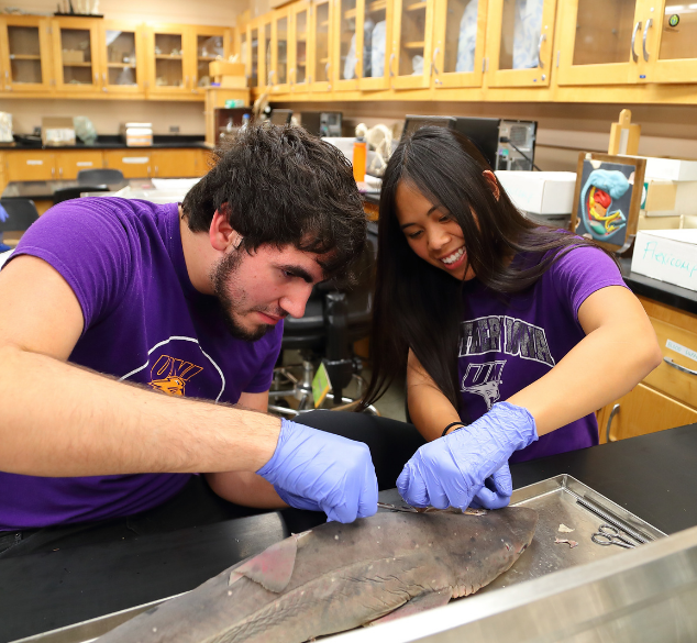 Two students dissecting a fish.