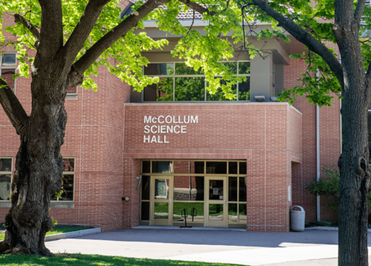 Outside shot of the entrance to McCollum Science Hall