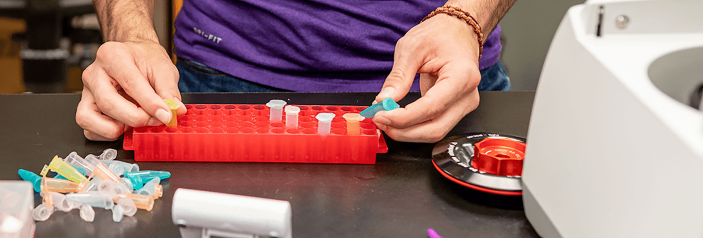 Student separating blood samples into a tray full of test tubes.