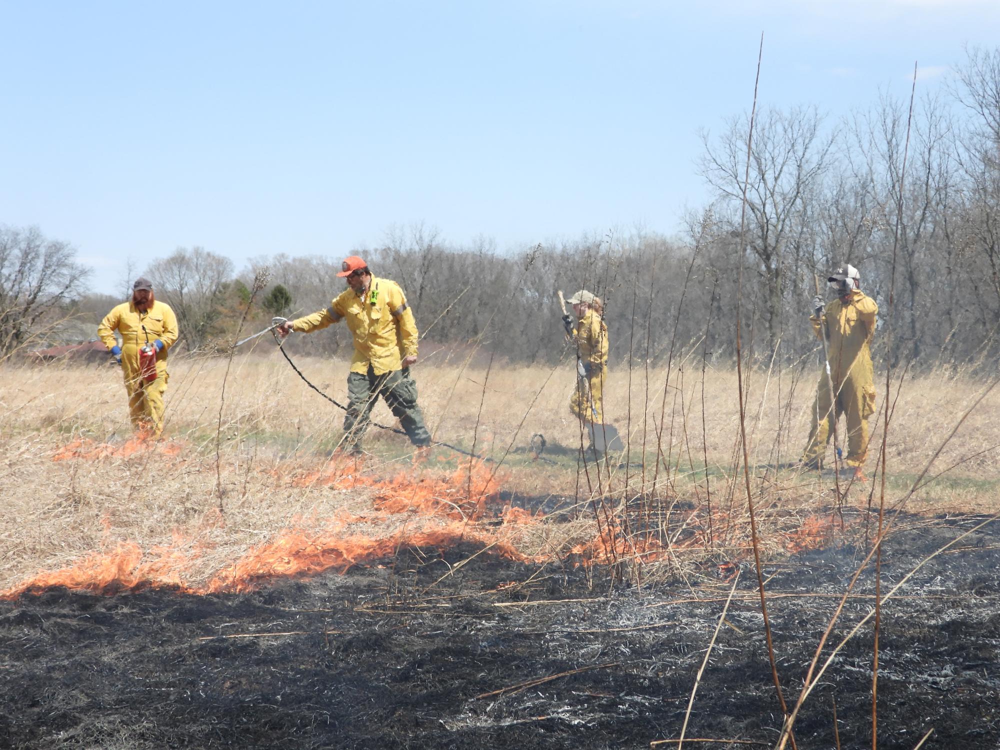 Prairie Burn at Daryl Smith Prairie