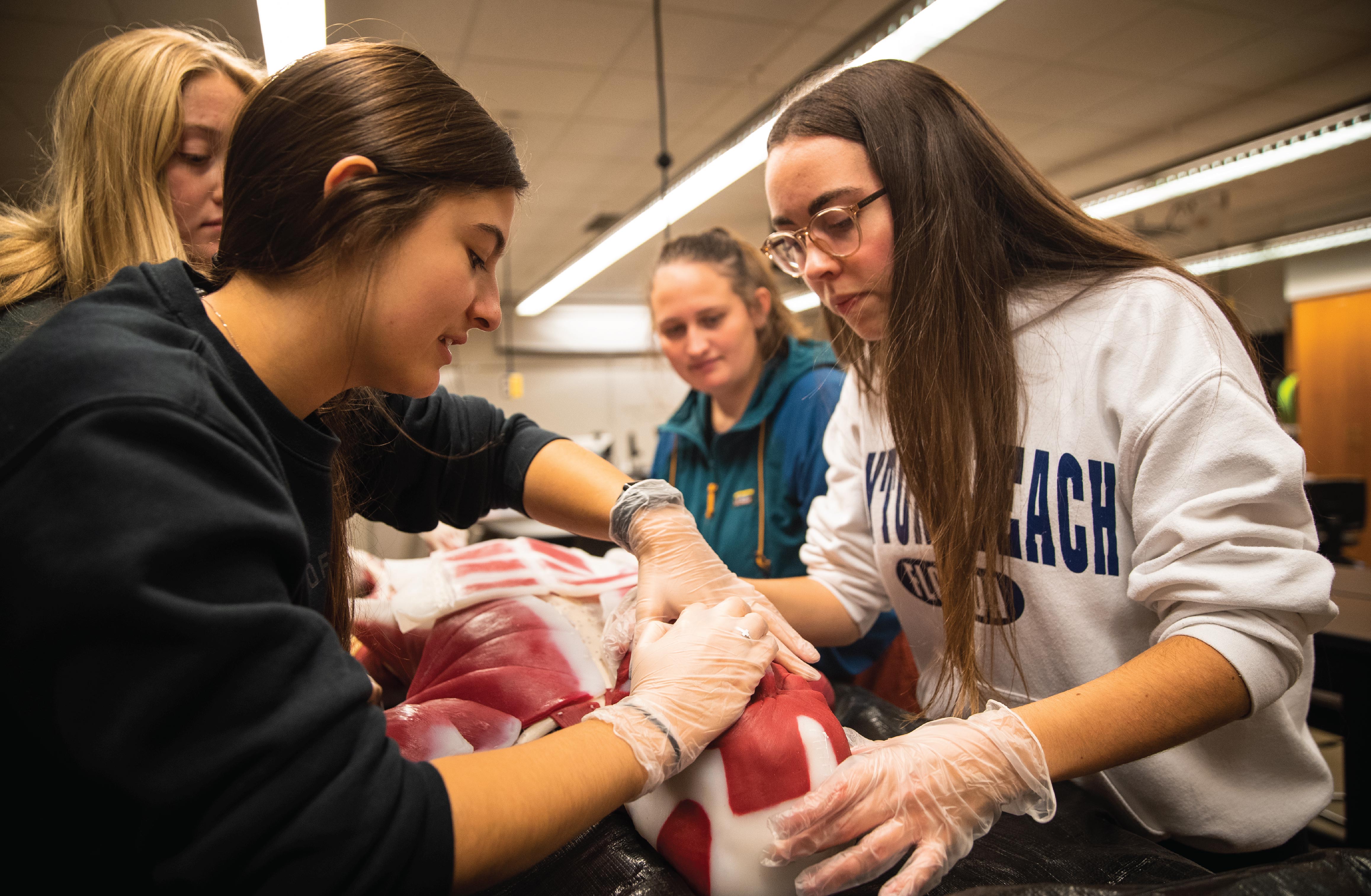 Students study anatomy using syndaver lab