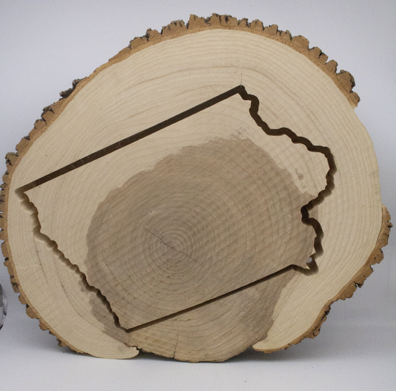 log slice with laser cutout of Iowa