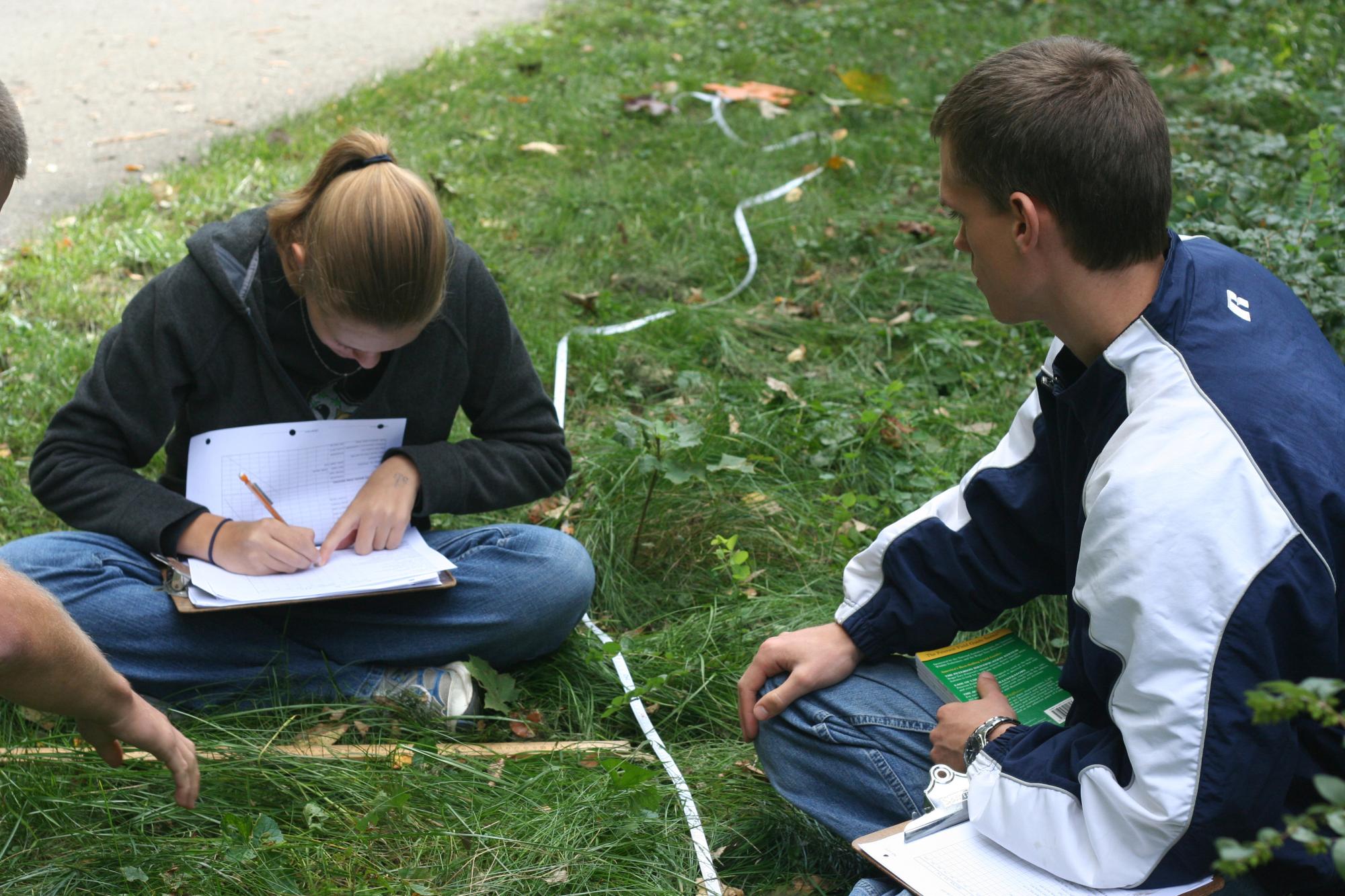 Students preforming a study 