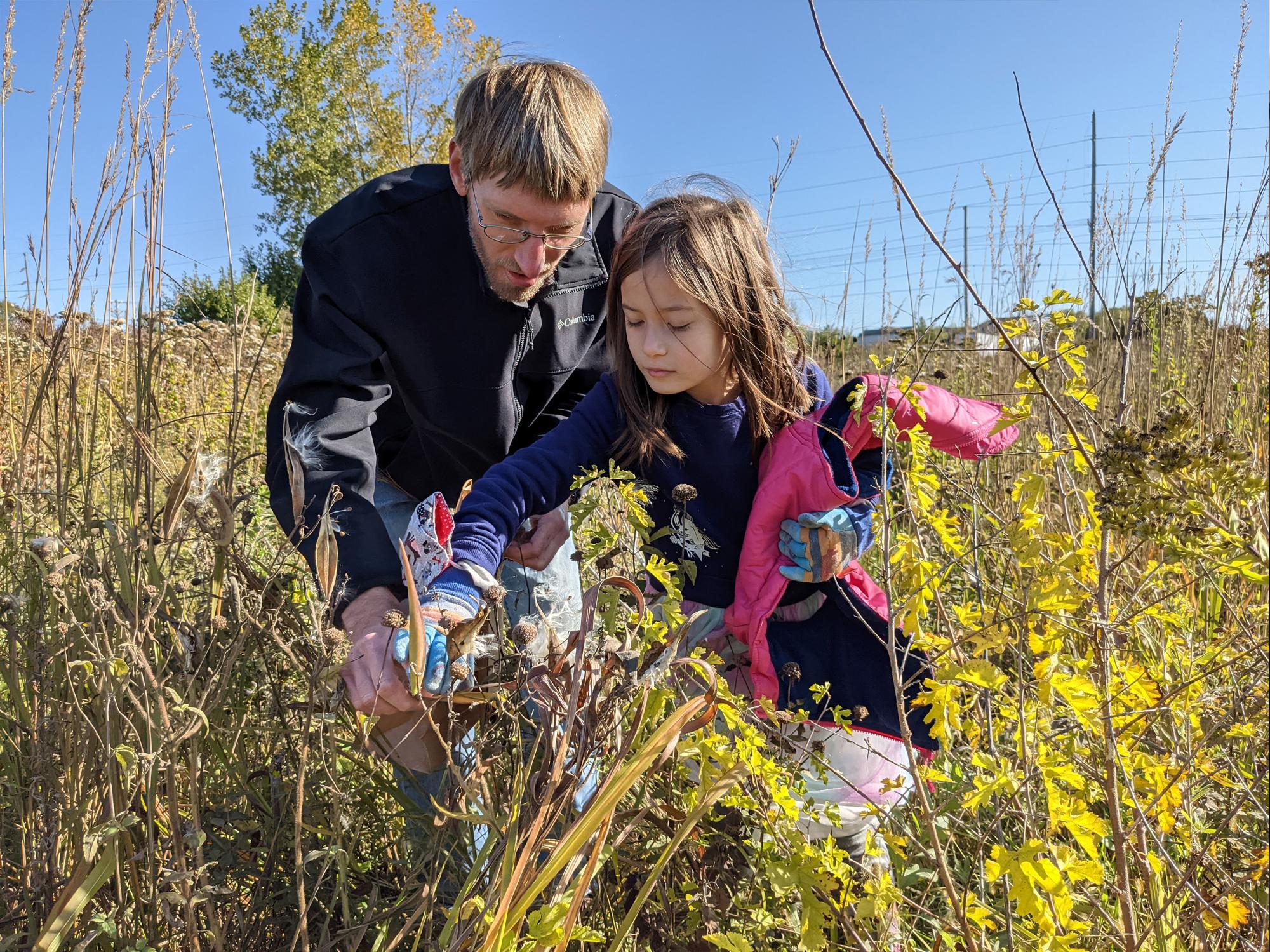 Father and Daughter collect seed 