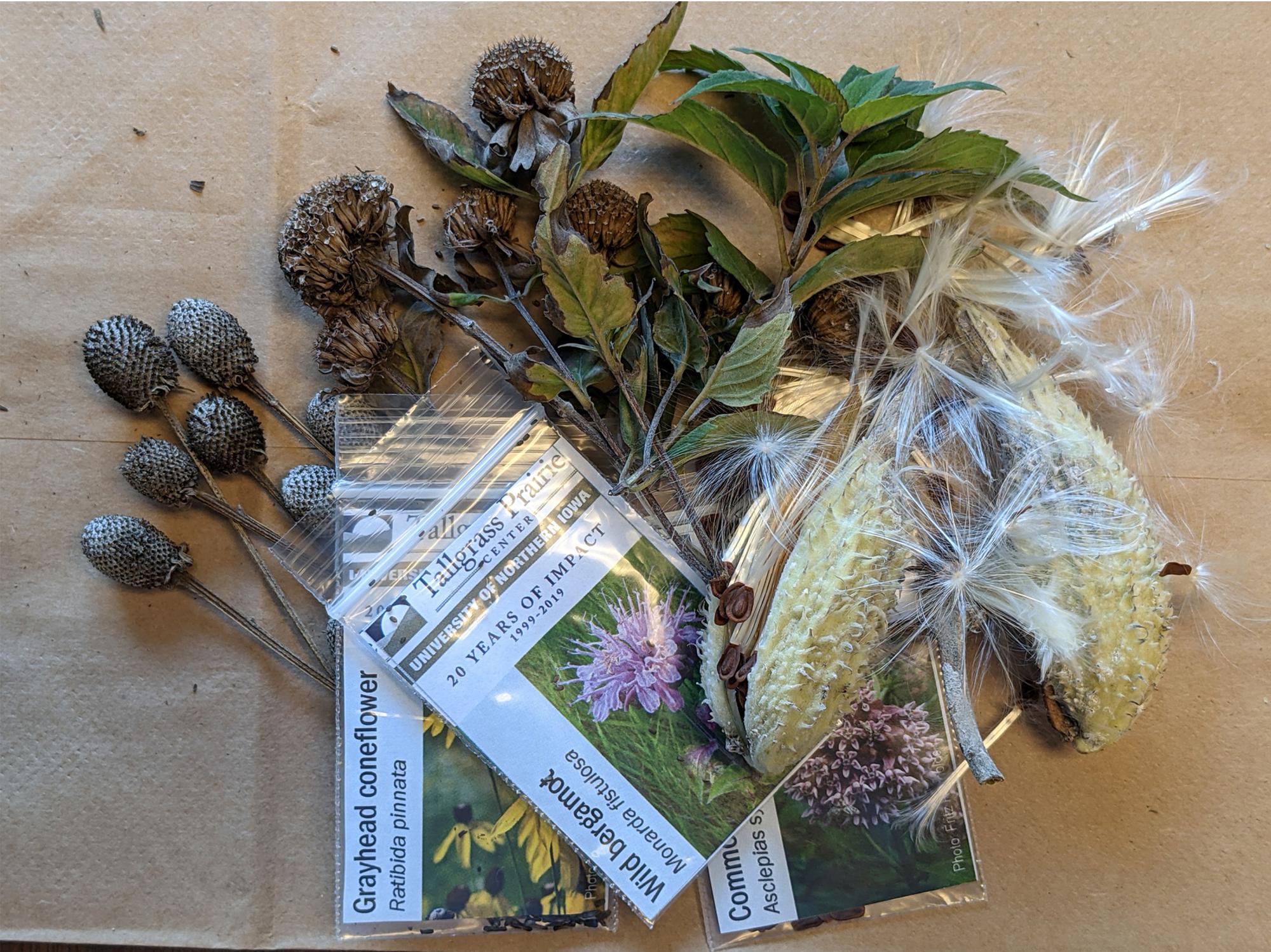 Seed packets used for outreach
