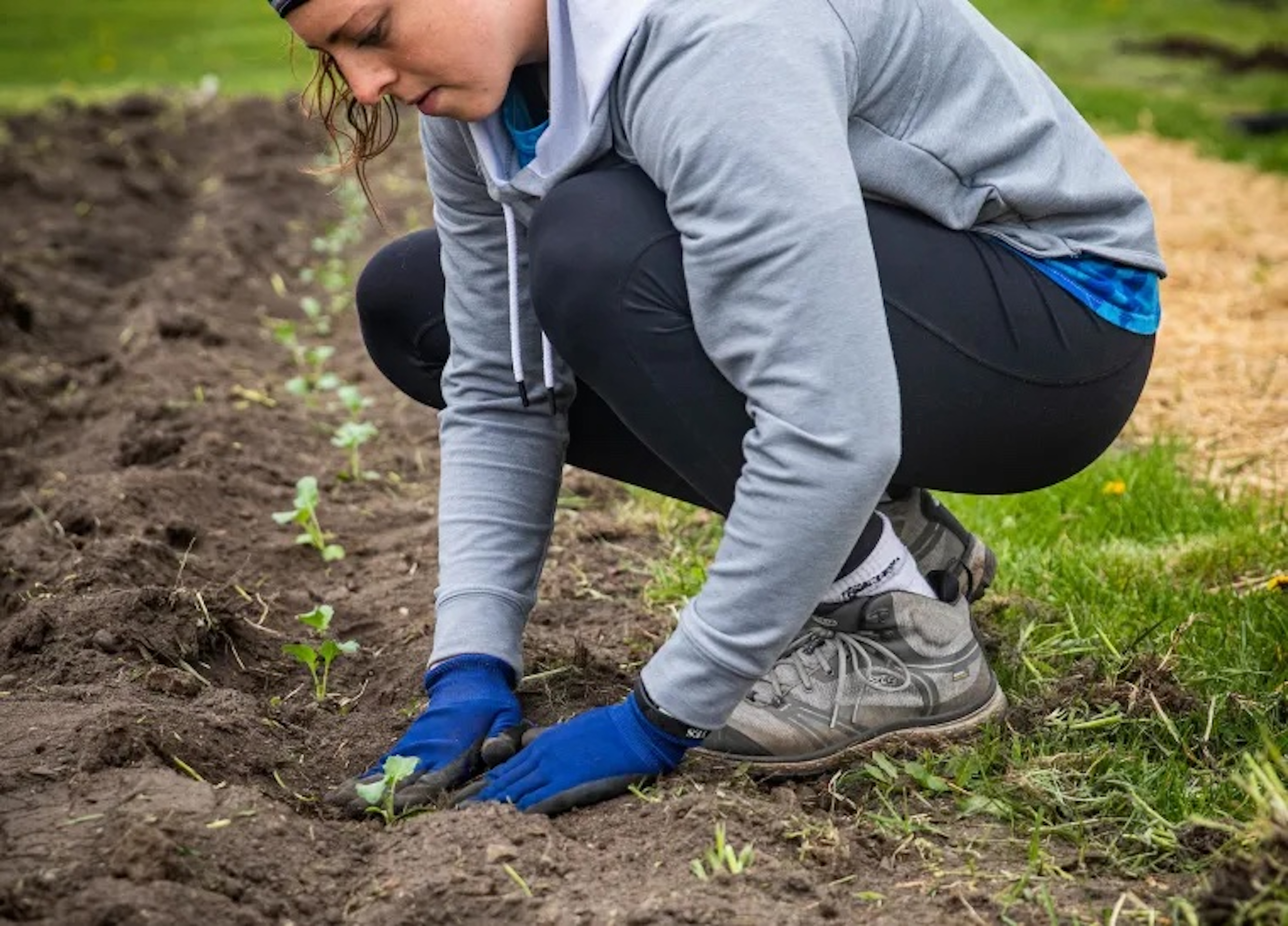 Woman planting seeds